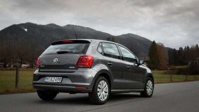 Polo Vivo